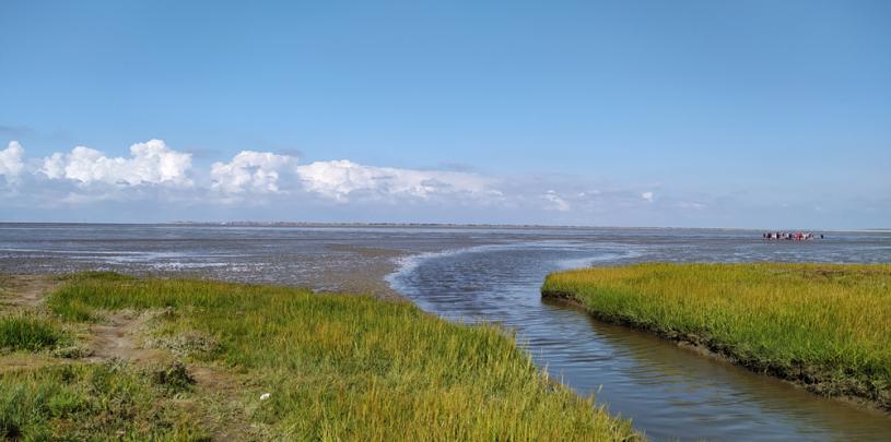 Nordseeküste 