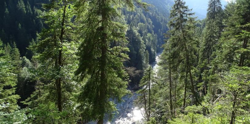 Dürrach Klamm