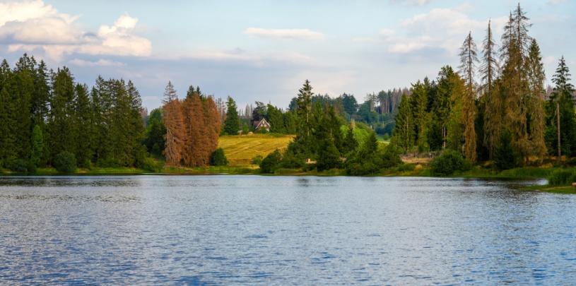 Prinzenteich 