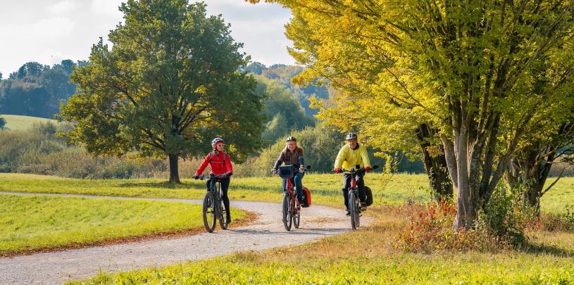 Fahrrad Umomos shutterstock_2227048319.jpg