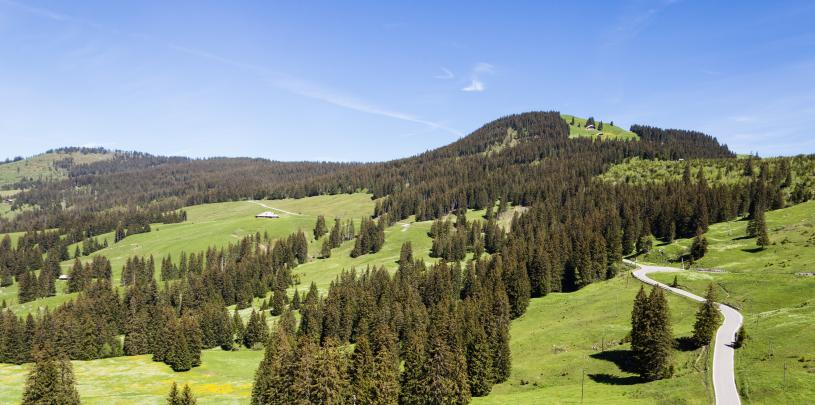 Gurnigel - AsiaTravel- shutterstock_1135251758.jpg