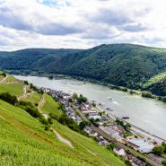Der Rhein bei Assmannshausen