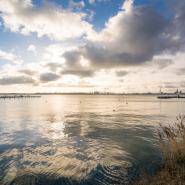 Blick von Altefähr Richtung Stralsund 