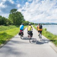An der Donau