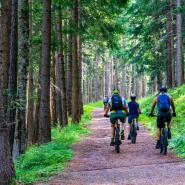 16285 Biker Hotel Haus Bayerischer Wald im Bayerischen Wald 4.jpg