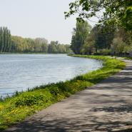 Elbe Radweg