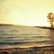 Tollensesee