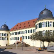 Bad Bergzabern Castle 