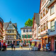 Mainz City 
