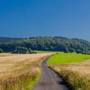 Rennsteig 