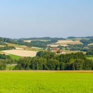 Schärding 