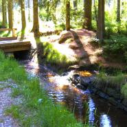 BILD0152.JPG