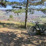 Meisnerhof Fahrrad.jpg