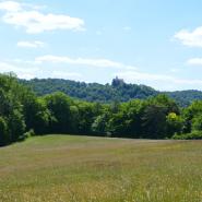 Heiligenstadt Franken Landschaft 