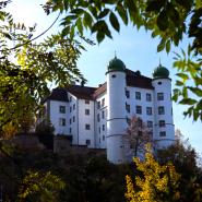 Mühlheim an der Donau 