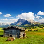 Seiser Alm 