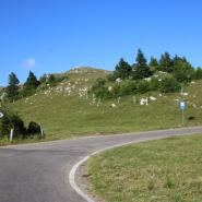 Col du Chasseral