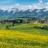 Allgäu nähe Oberstaufen 