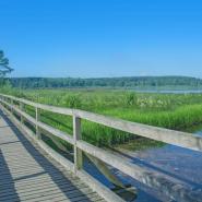 Dreifelder Weiher 
