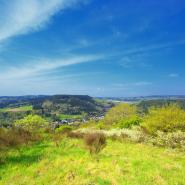 Eifel bei Gerolstein 