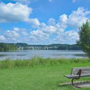 Wiesensee 