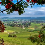Asiago 