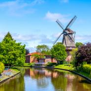 Aurich