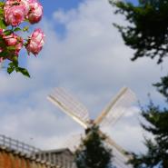 Bad Rothenfelde