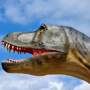 Dino-Park Münchehagen 