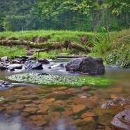 Spessart 