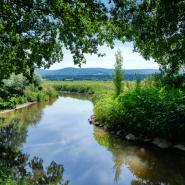 Spessart 