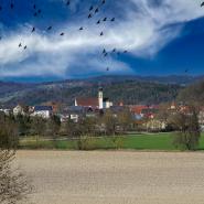 Wörth an der Donau 