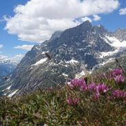 Col de Leschaux
