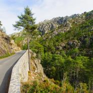Gorges de la Restonica 