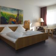 14189 eBike Gasthof Zum Storch Franken Zimmer.jpg