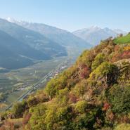 Etschtal 