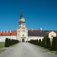 Schloss Wallsee 