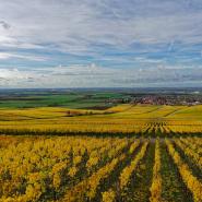 Kitzingen 