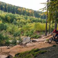MTB Trail 2