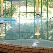 30879 Hoel Hammerschmiede KraichgauBlick auf den Pool.JPG