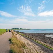 Deichlandschaft 