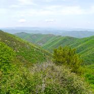 Asclier, Col d, Cevennne PS 5 2018 720.JPG