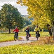 Fahrrad Umomos shutterstock_2227048319.jpg