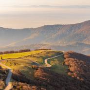 Grand Ballon - Von PhotoGranary - shutterstock_1076102714.jpg