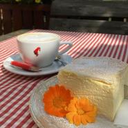 14757 Cremeschnitte.JPG