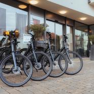 31186 Villa Medici ebike.jpg