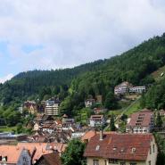 Aparthotel Schwarzwald Panorama Bad Wildbad 16057 5731f59572926900020145.jpg