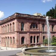 Aparthotel Schwarzwald Panorama Bad Wildbad 16057 5731f5957aa89444382379.jpg
