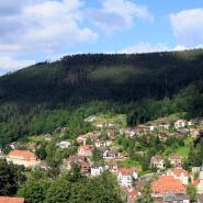 Aparthotel Schwarzwald Panorama Bad Wildbad 16057 5731f59582df9741513127.jpg